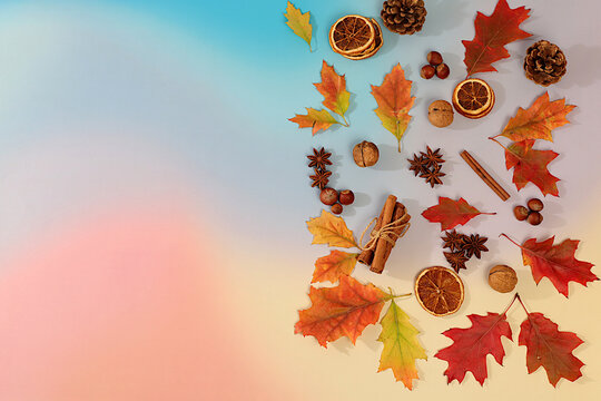 Abstract autumn composition featuring maple leaves, pine cones, nuts, cinnamon, star anise, and rowan berries, Thanksgiving themed still life, seasonal background, vibrant and beautiful screen banner,