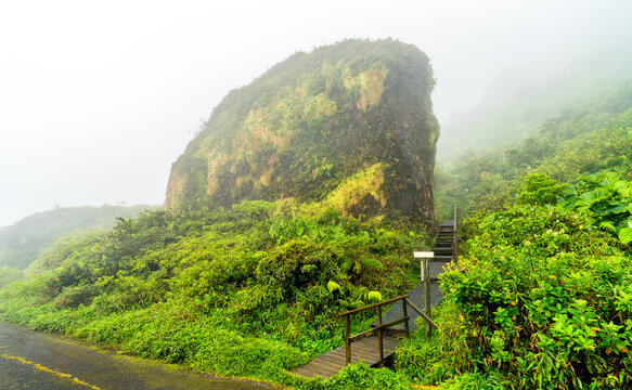 Wooden walkway leads past Rocher de la Vierge, a mossy rock housing a hidden statue of the Virgin Mary, into the foggy rainforest of Mount Soufriere in Guadeloupe.