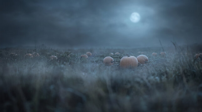 Spooky pumpkin patch field at misty night under full moon with dark cloudy sky and copy space