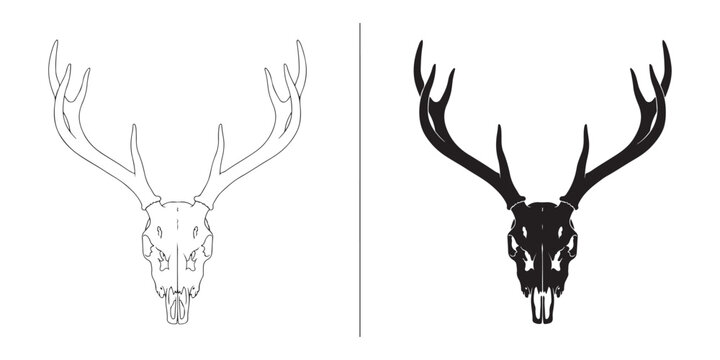 Deer skull with antlers line and silhouette vector design for hunters and wildlife enthusiasts.