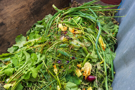 Home compost pile turns vegetable garden waste into natural soil enrichment