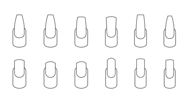 Manicure nail shapes collection displays various popular styles like coffin, stiletto, almond, and square outlines.