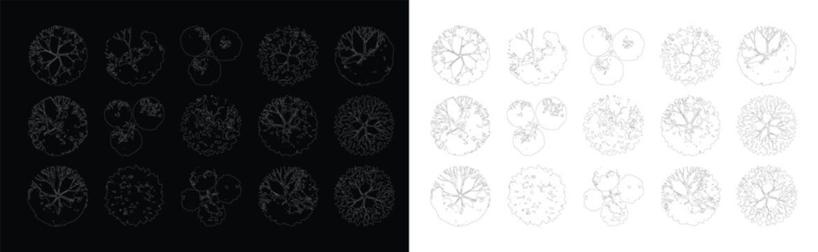 Set of top view tree vector silhouettes with white outline for landscape design plans and architectural rendering projects in modern cad drafting style.