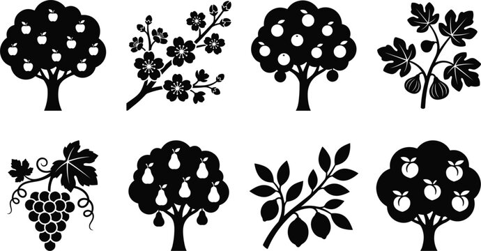 Black Fruit Tree and Branch Silhouette Vector Icon Set Featuring Apple Pear Fig Peach Grape Orange and Blossom Shapes for Organic Agriculture Logo Designs