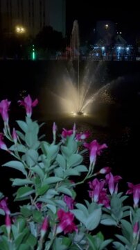 fountain at night