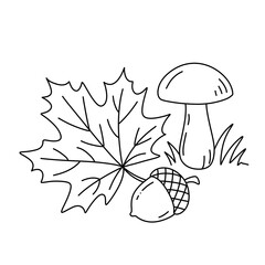 Autumn maple leaf with mushroom and acorn line art illustration © Kateryna Rudich