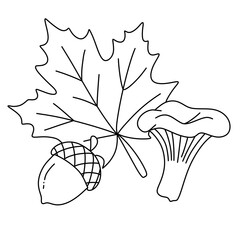 Autumn leaves and acorns corner border line art illustration © Kateryna Rudich