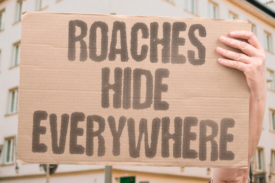 "Roaches hide everywhere" Nocturnal pests colonize cracks and crevices in filthy environments. NOCTURNAL. EVASIVE. INFESTATION. CRYPTIC. PROLIFERATION.