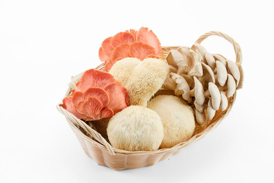 Fresh culinary mushrooms in basket on white background