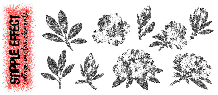 Distressed botanical flower set, stipple blossoms, buds and leafy branches with rough photocopy grain. Monochrome floral elements for collage, posters and printmaking. Vector illustration.