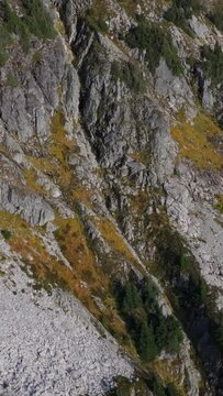 Aerial View of a Rugged Mountain Slope in British Columbia, Canada with Rocky Terrain and Green Patches