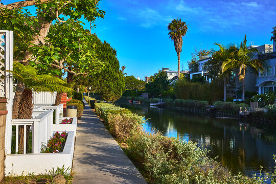 Venice Canal Historic District Lush Canal Pathway With Palm Trees And Residential Homes