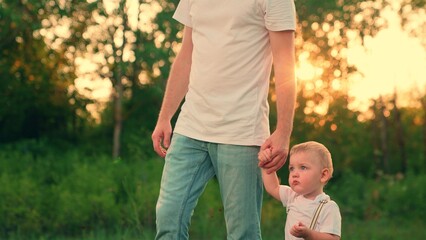 Fototapeta premium Dad, young son walking in summer park, holding hands. Happy childhood. Father, kid son walking in nature. Happy family in outdoors. Family picnic in park, healthy lifestyle. Dad takes care little boy