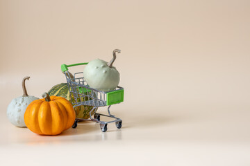 Miniature shopping cart with colorful pumpkins on beige background with copy space © Anastasiia