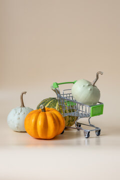 Colorful pumpkins with miniature shopping cart on beige background with copy space
