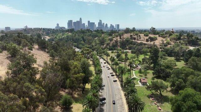Los Angeles, California, USA - Scenic Drone Aerial View of Downtown Los Angeles Skyline From Elysian Park With Green Hills, Trees and Central LA Urban Cityscape on a Sunny Day