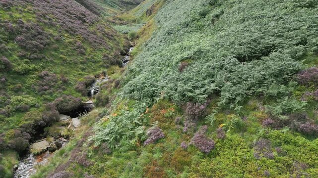 Green hillsides slope gently downward. Reservoirs ramble, near Marsden Huddersfield