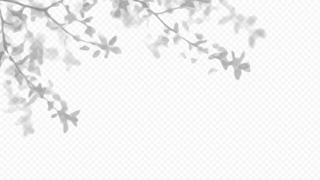 Easy to edit layered vector shadow. Tree branches on checkerboard grid. Adjust tonal layer opacity to control shadow intensity and perceived softness.
