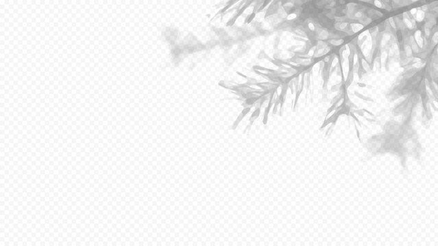 Easy to edit layered vector shadow. Pine branches on a checkerboard background. Adjust tonal layer opacity to control shadow intensity and perceived softness.