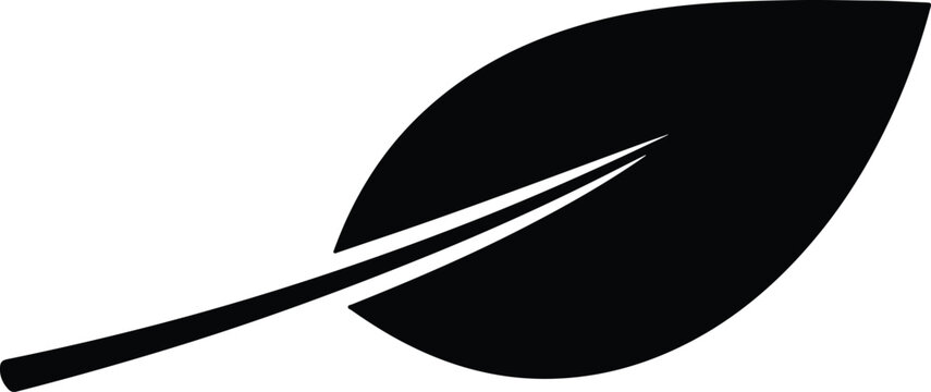 Silhouette of a simple organic leaf shape for natural eco design Vector