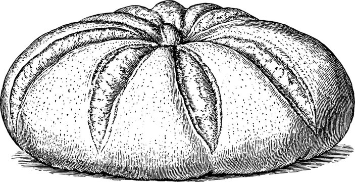 Antique engraved mexican pan de muerto bread illustration for day of the dead background and altar design