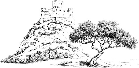 Obraz premium Romanesque hilltop castle engraving with windswept tree and rocky slope for historical background and editorial illustration use