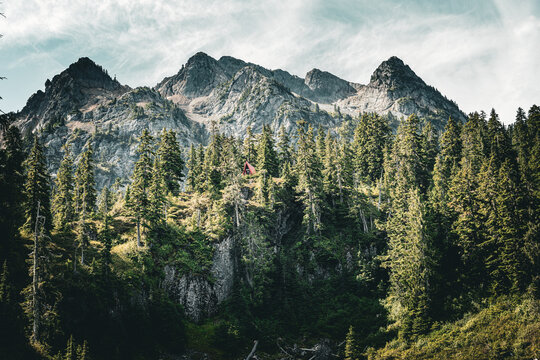 Rugged mountain peaks above an evergreen forest in British Columbia