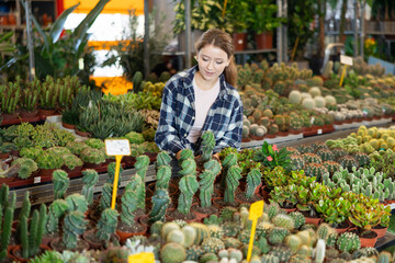 Female landscape designer gets acquainted with assortment of flower shop warehouse, selects plants to create landscaping project, select and buy cactus seedling. © JackF