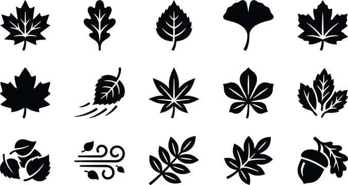Collection of detailed black silhouette leaves and botanical elements on a white background