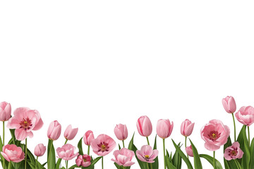Obraz premium Pink tulip and poppy flower border