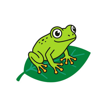Green tree frog sitting on a leaf isolated on a transparent background
