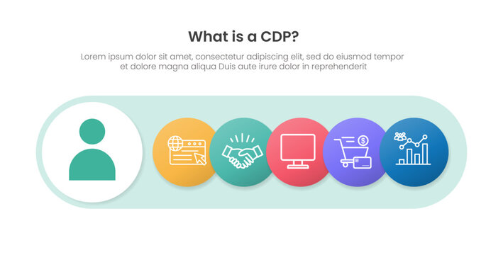 customer data platform infographic template with cdp capsule row circle diagram, flat style