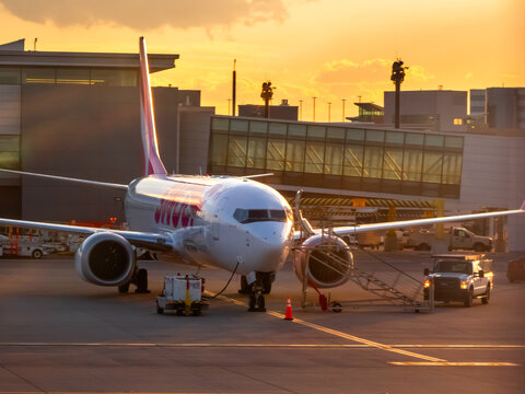 Calgary, Alberta, Canada. Sep 9, 2026. Front view of Swoop airplane parked at terminal gate on tarmac during golden hour sunset lighting.