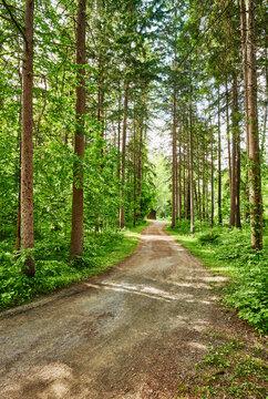 Hiking trail through Saratoga Spa State Park in Saratoga Springs, New York.