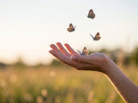 A human hand gently interacting with several butterflies flying in a sunlit golden meadow at sunset or sunrise, symbolizing freedom and peace.