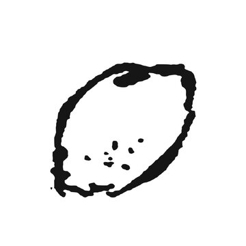 Lemon charcoal sketch vector