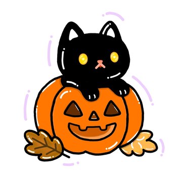 Halloween pumpkin and cat hi