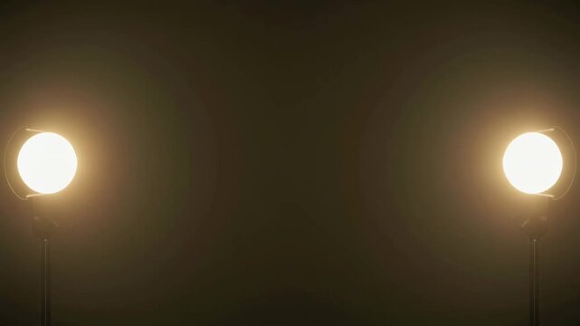 左右対称に配置された二つの柔らかな光源