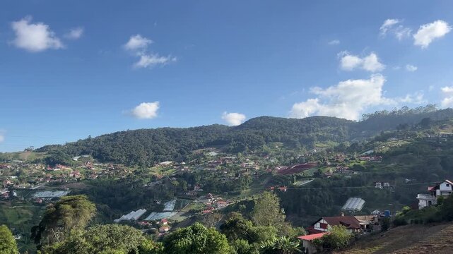 Aerial view of Colonia Tovar village nestled in green mountains