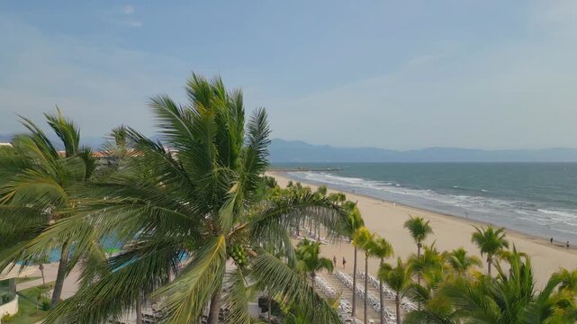 4K PLAYA PALMERAS MAR