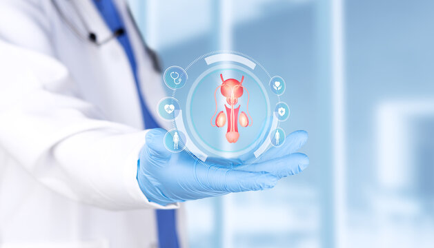 Doctor analyzing prostate chart for diagnosis of infertility, erectile dysfunction and prostatitis. Concept of urology, diagnostic test and medical research with bokeh background. Isolated.