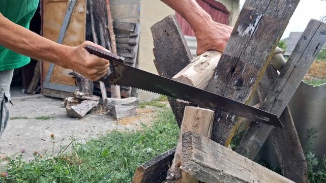 A man saws firewood with a hand saw.The process of sawing firewood.