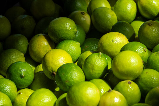 A large bin of whole organic limes from a harvest is for sale at a farmer's market. The small, round fruit is vibrant green with a thick, smooth skin. The exotic fruit is a sour lime that is seedless.