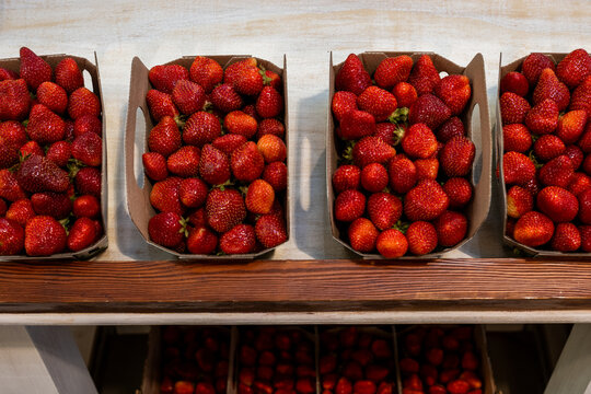 Large cardboard boxes of bright red strawberries are stacked on shelves at a supermarket for sale. The sweet red berries have their seeds on the outside and green stems on top. The crates are square.