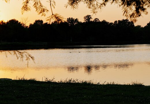 Silhouetted ducks swimming across a peaceful suburban park lake during a vibrant golden hour sunset, reflecting tranquility serene urban wildlife