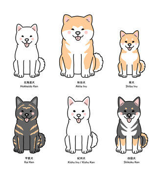6種類の日本犬（お座り・正面）のセットのベクターイラスト