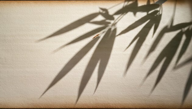 bamboo leaf shadow on traditional washi paper with deep focus scan