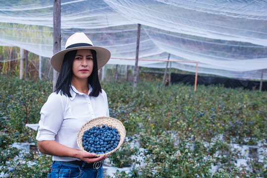 Female farmer in her organic blueberry greenhouse.