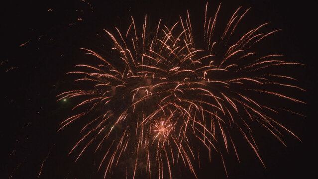 Fireworks blooming in dark night sky