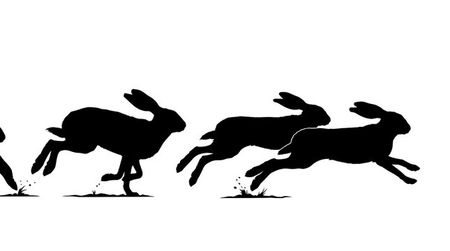 Black running hare silhouettes in motion.